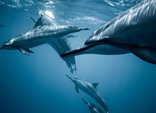 星空综合(中国)官方网站：开启智慧生活的全入口